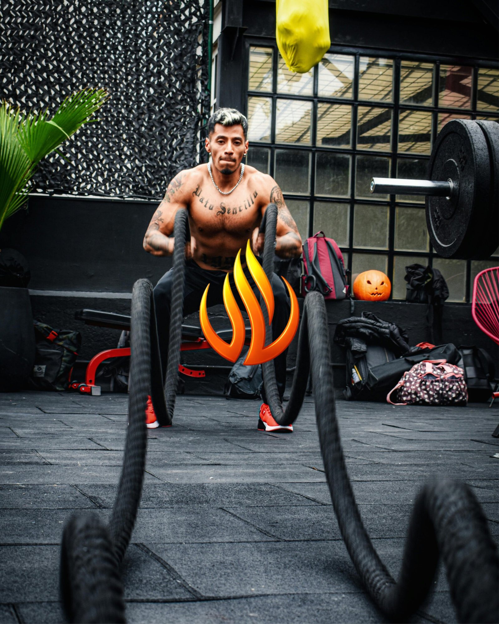 pexels yesenia mora 432270070 22748549